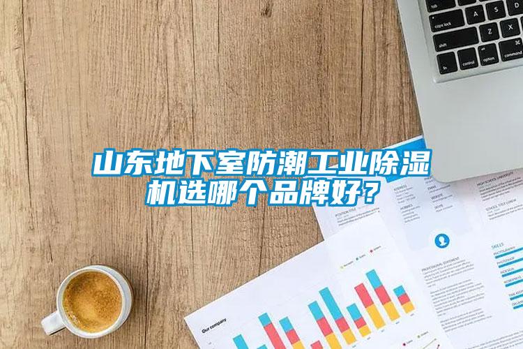 山東地下室防潮工業(yè)除濕機(jī)選哪個(gè)品牌好？