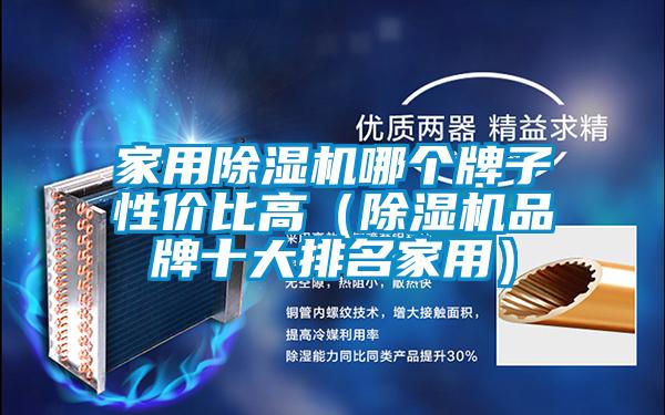 家用除濕機(jī)哪個牌子性價比高（除濕機(jī)品牌十大排名家用）