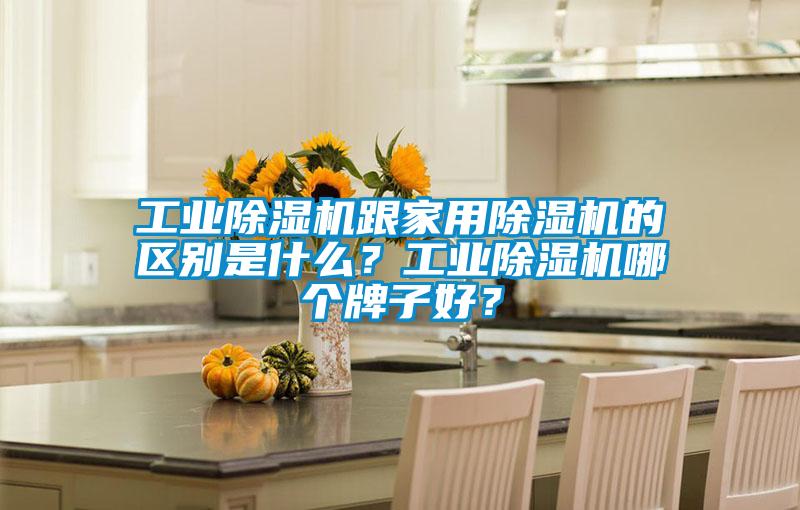 工業(yè)除濕機跟家用除濕機的區(qū)別是什么？工業(yè)除濕機哪個牌子好？