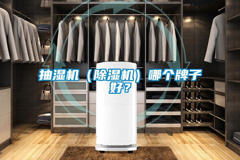抽濕機(jī)（除濕機(jī)）哪個(gè)牌子好？