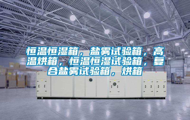 恒溫恒濕箱，鹽霧試驗(yàn)箱，高溫烘箱，恒溫恒濕試驗(yàn)箱，復(fù)合鹽霧試驗(yàn)箱，烘箱