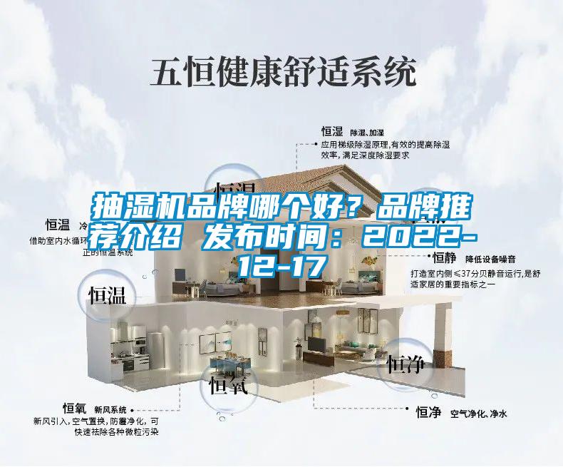 抽濕機品牌哪個好？品牌推薦介紹 發布時間：2022-12-17