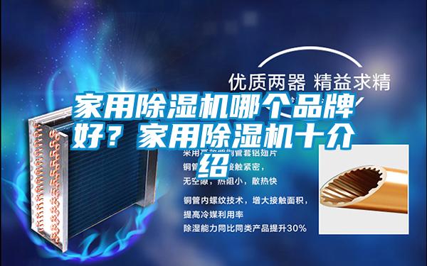 家用除濕機(jī)哪個(gè)品牌好？家用除濕機(jī)十介紹