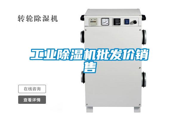工業(yè)除濕機(jī)批發(fā)價銷售