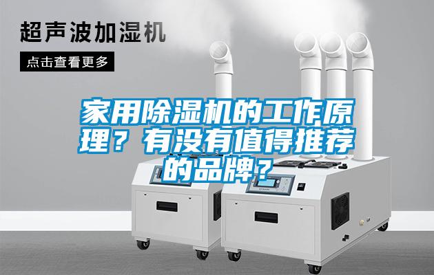 家用除濕機的工作原理？有沒有值得推薦的品牌？