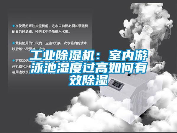 工業除濕機：室內游泳池濕度過高如何有效除濕
