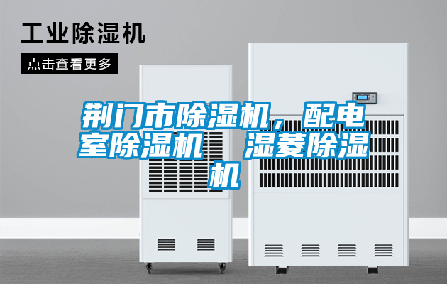 荊門(mén)市除濕機(jī)，配電室除濕機(jī)  濕菱除濕機(jī)