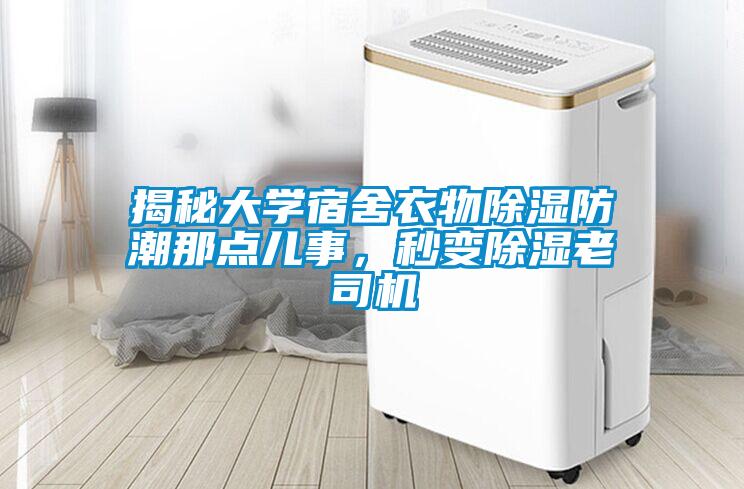 揭秘大學宿舍衣物除濕防潮那點兒事，秒變除濕老司機