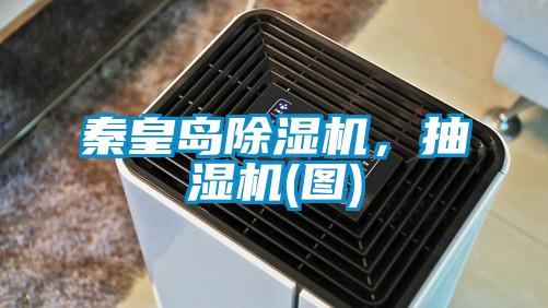秦皇島除濕機，抽濕機(圖)
