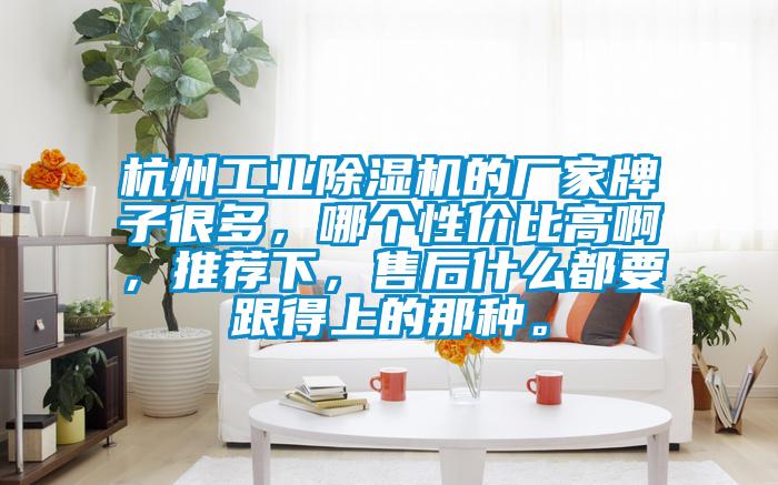 杭州工業除濕機的廠家牌子很多，哪個性價比高啊，推薦下，售后什么都要跟得上的那種。