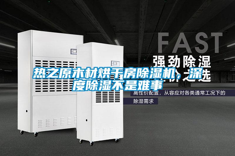 熱之原木材烘干房除濕機，深度除濕不是難事