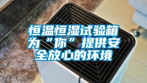 恒溫恒濕試驗箱為“你”提供安全放心的環境