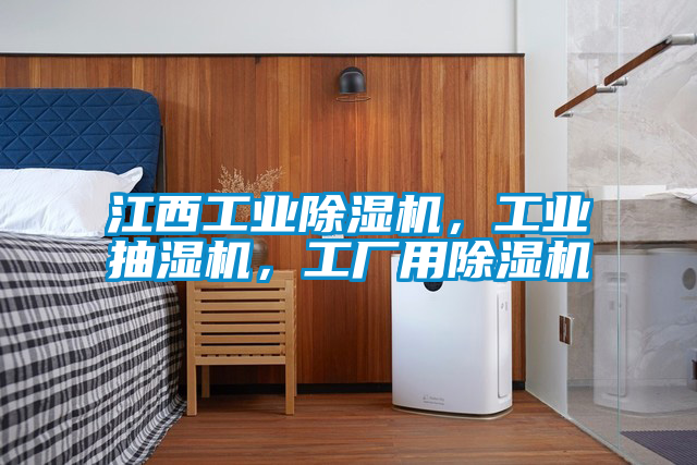 江西工業除濕機，工業抽濕機，工廠用除濕機