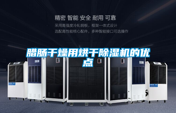 臘腸干燥用烘干除濕機的優點