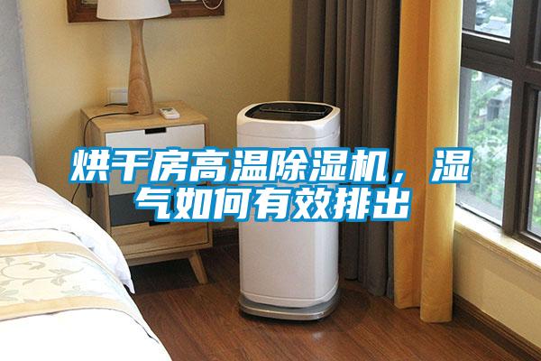 烘干房高溫除濕機，濕氣如何有效排出