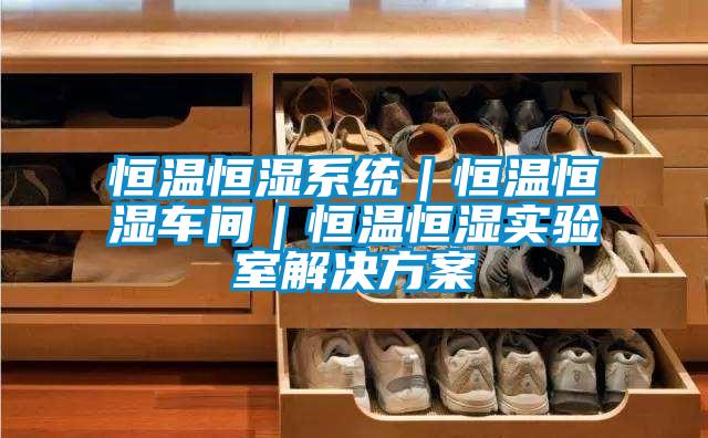 恒溫恒濕系統｜恒溫恒濕車間｜恒溫恒濕實驗室解決方案