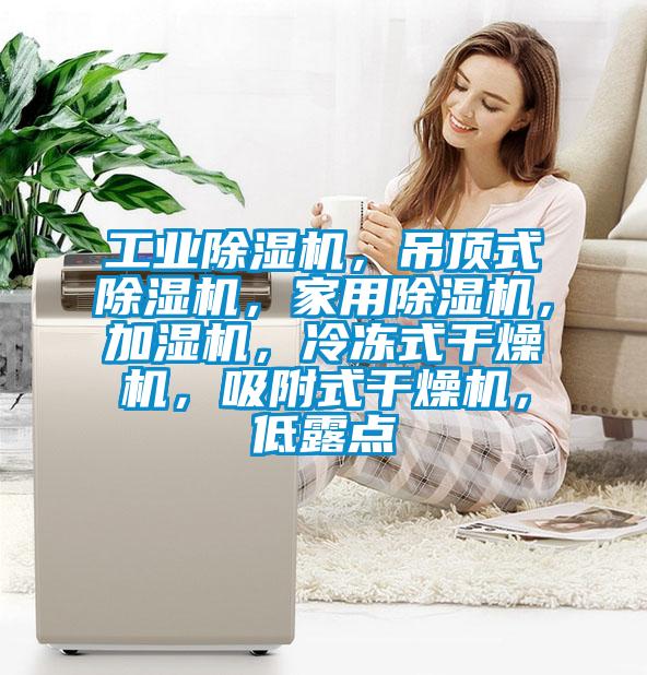 工業除濕機，吊頂式除濕機，家用除濕機，加濕機，冷凍式干燥機，吸附式干燥機，低露點