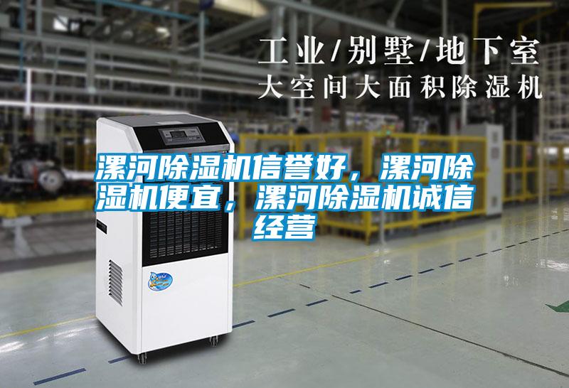 漯河除濕機(jī)信譽(yù)好，漯河除濕機(jī)便宜，漯河除濕機(jī)誠信經(jīng)營