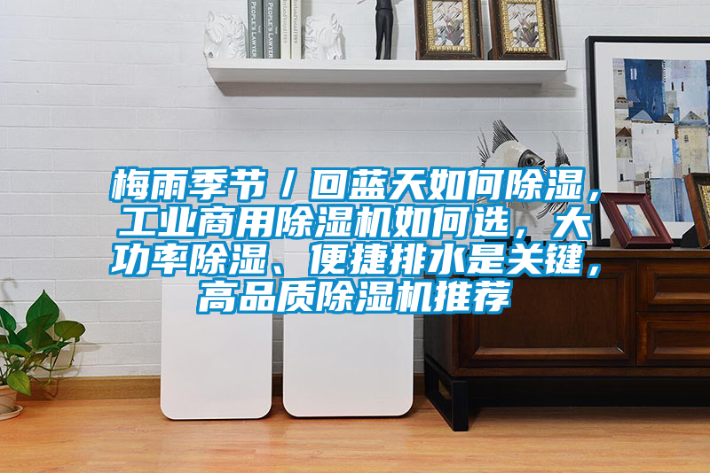 梅雨季節(jié)／回藍天如何除濕，工業(yè)商用除濕機如何選，大功率除濕、便捷排水是關(guān)鍵，高品質(zhì)除濕機推薦