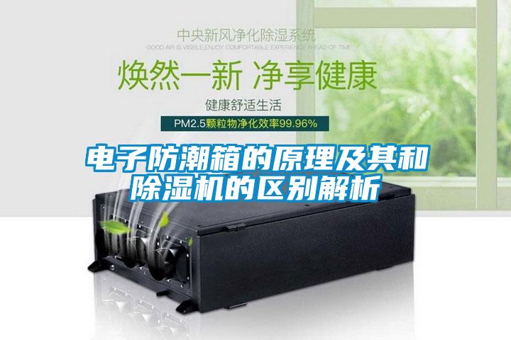 電子防潮箱的原理及其和除濕機的區別解析
