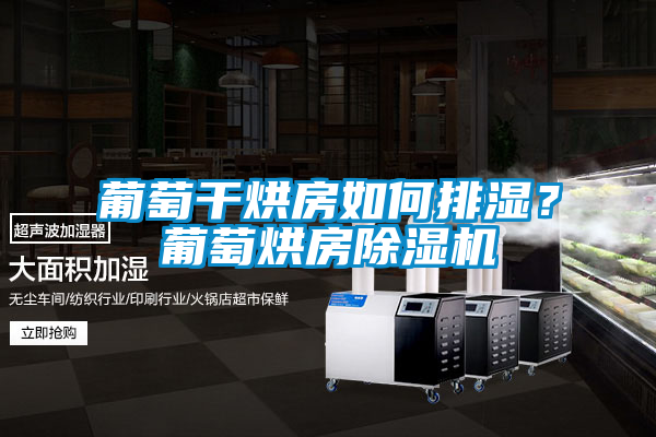 葡萄干烘房如何排濕？葡萄烘房除濕機