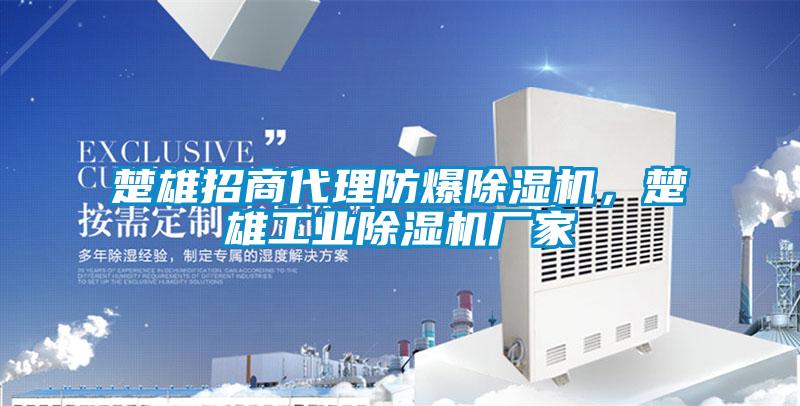 楚雄招商代理防爆除濕機，楚雄工業除濕機廠家