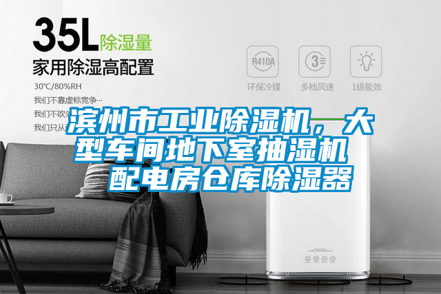 濱州市工業(yè)除濕機，大型車間地下室抽濕機  配電房倉庫除濕器