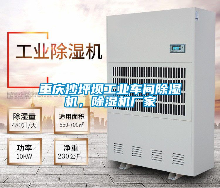 重慶沙坪壩工業(yè)車(chē)間除濕機(jī)，除濕機(jī)廠家