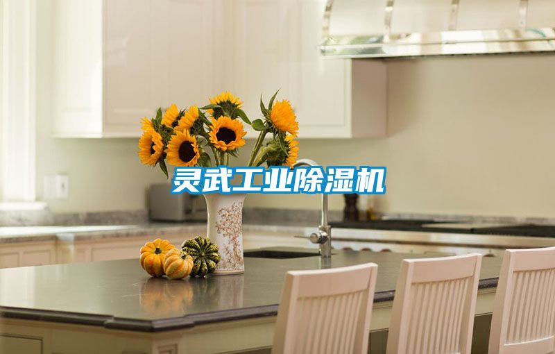 靈武工業除濕機