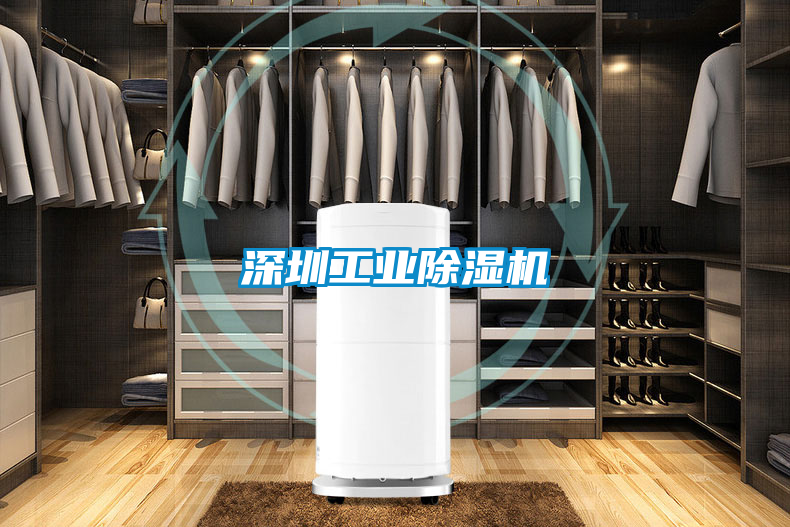 深圳工業除濕機