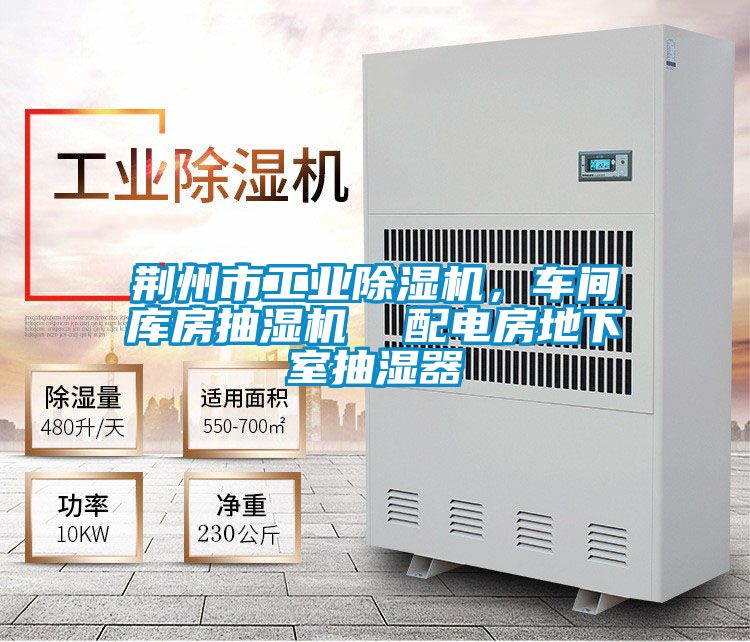 荊州市工業(yè)除濕機(jī)，車(chē)間庫(kù)房抽濕機(jī)  配電房地下室抽濕器