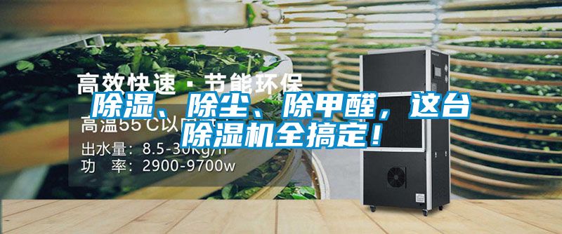 除濕、除塵、除甲醛，這臺除濕機全搞定！