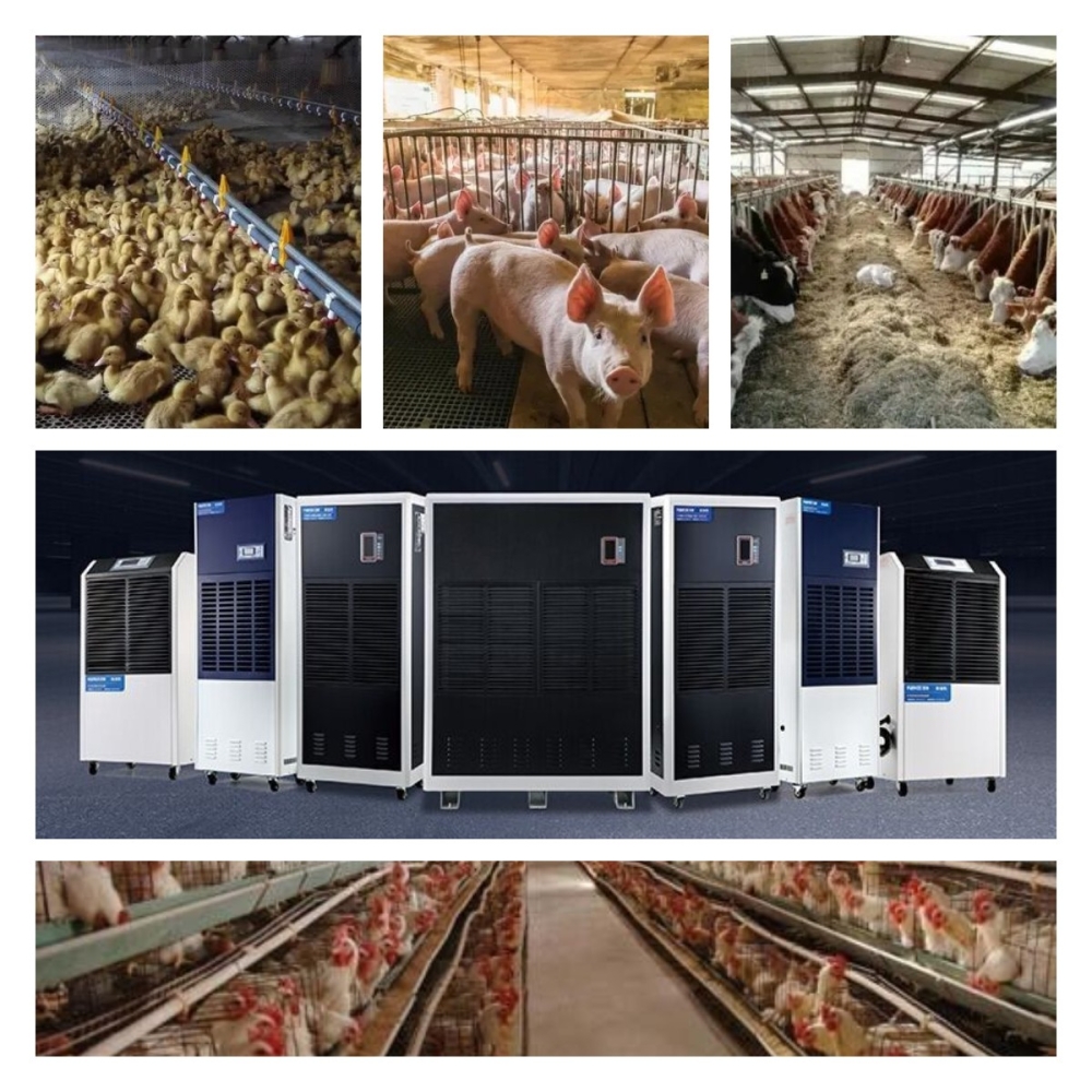 稿定設計導出-20211215-085453 稿定設計導出-20211215-085453